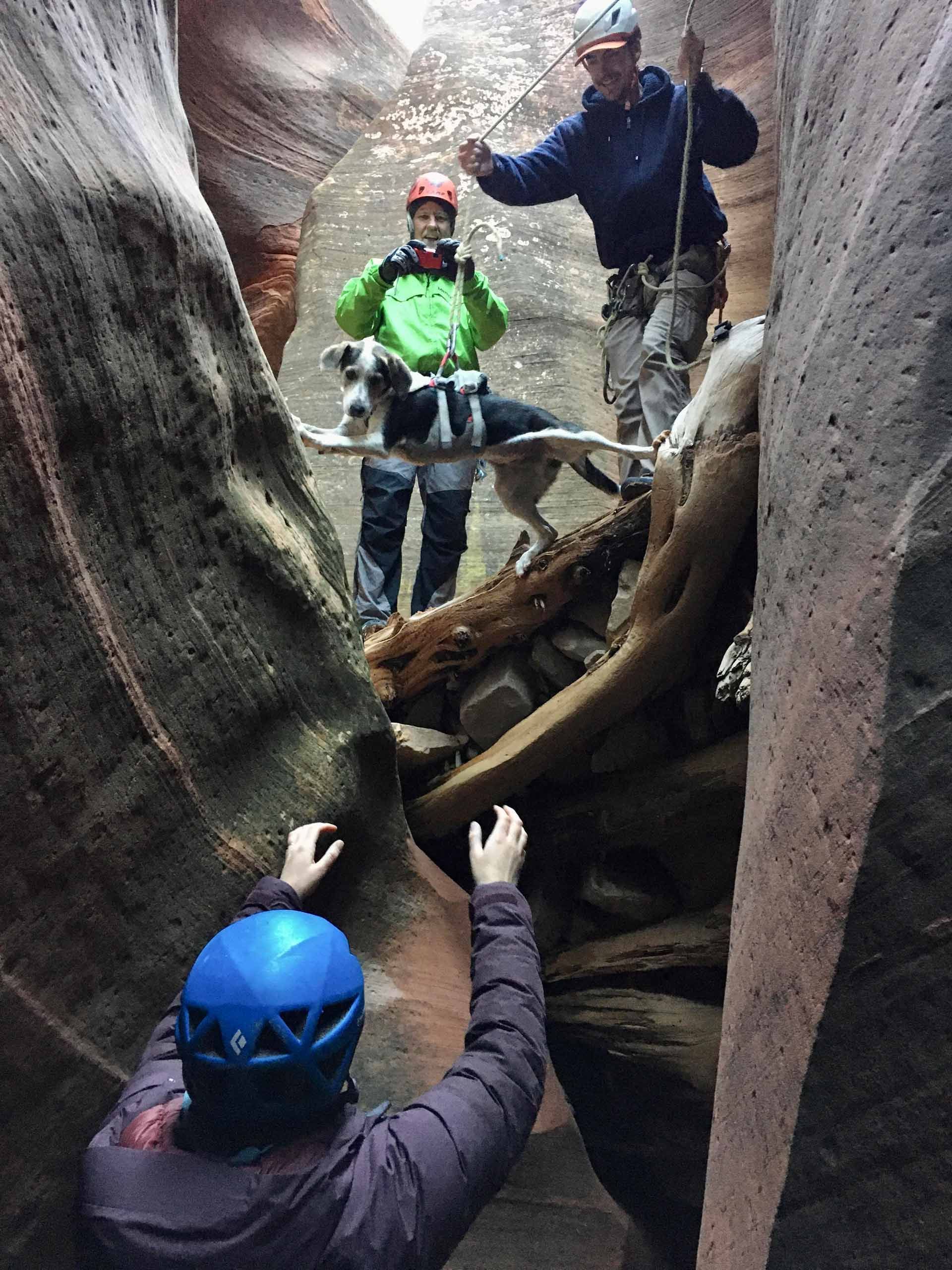 A person wearing a blue helmet is reaching for something in a canyon