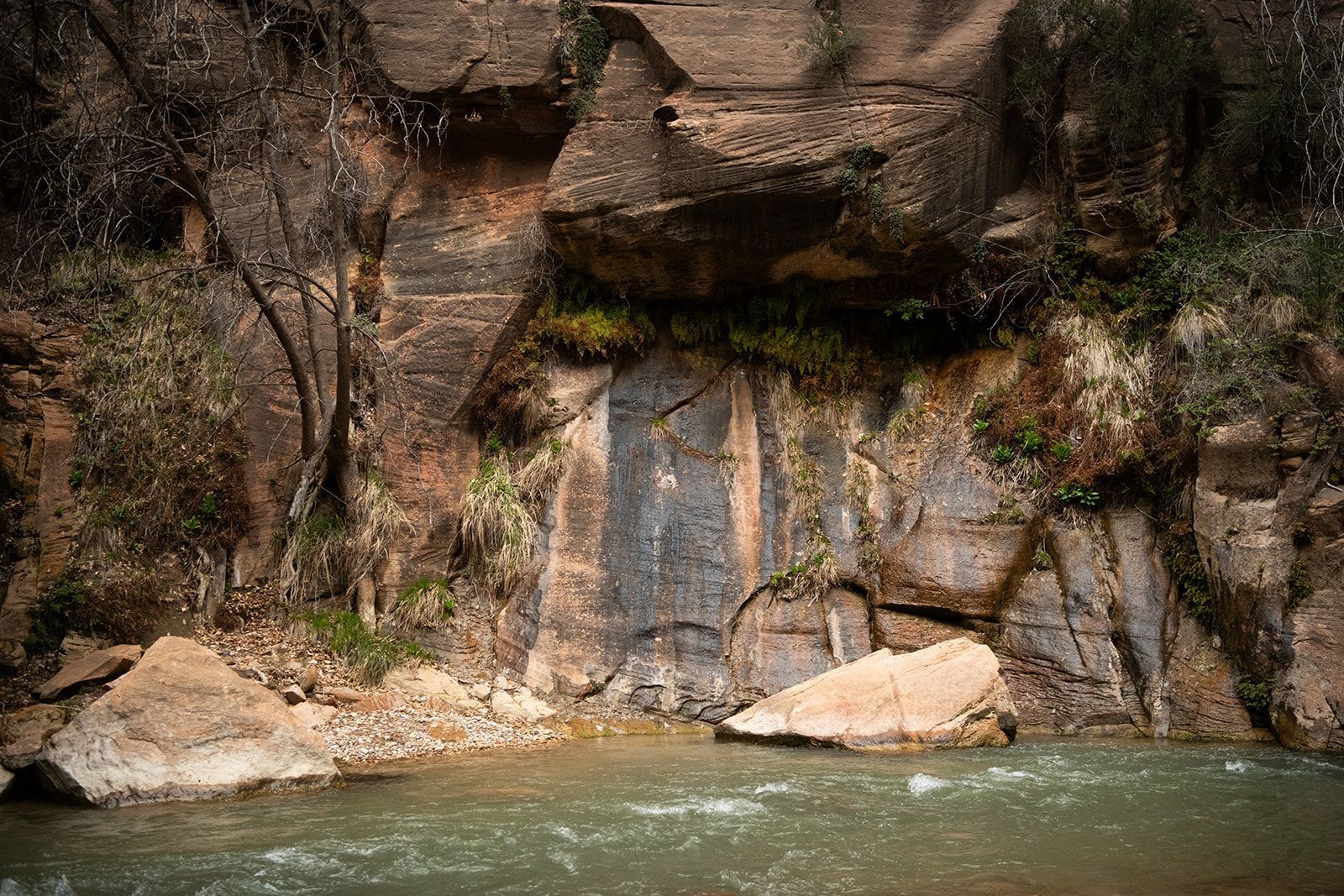river and mountain formatino zion national park
