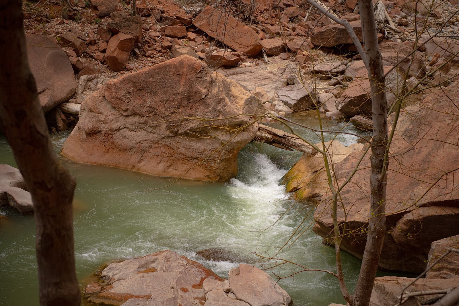 river going through zion national park