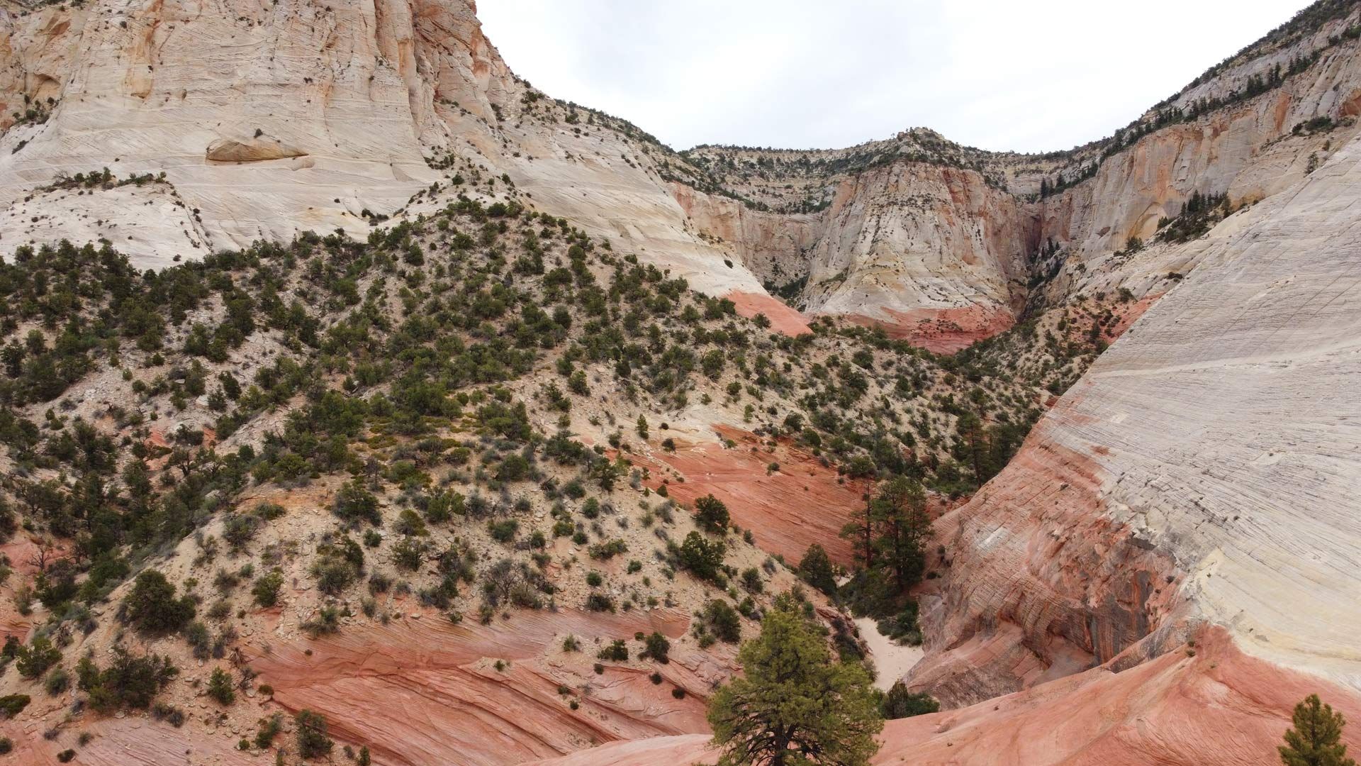 A landscape of a canyon with trees and rocks