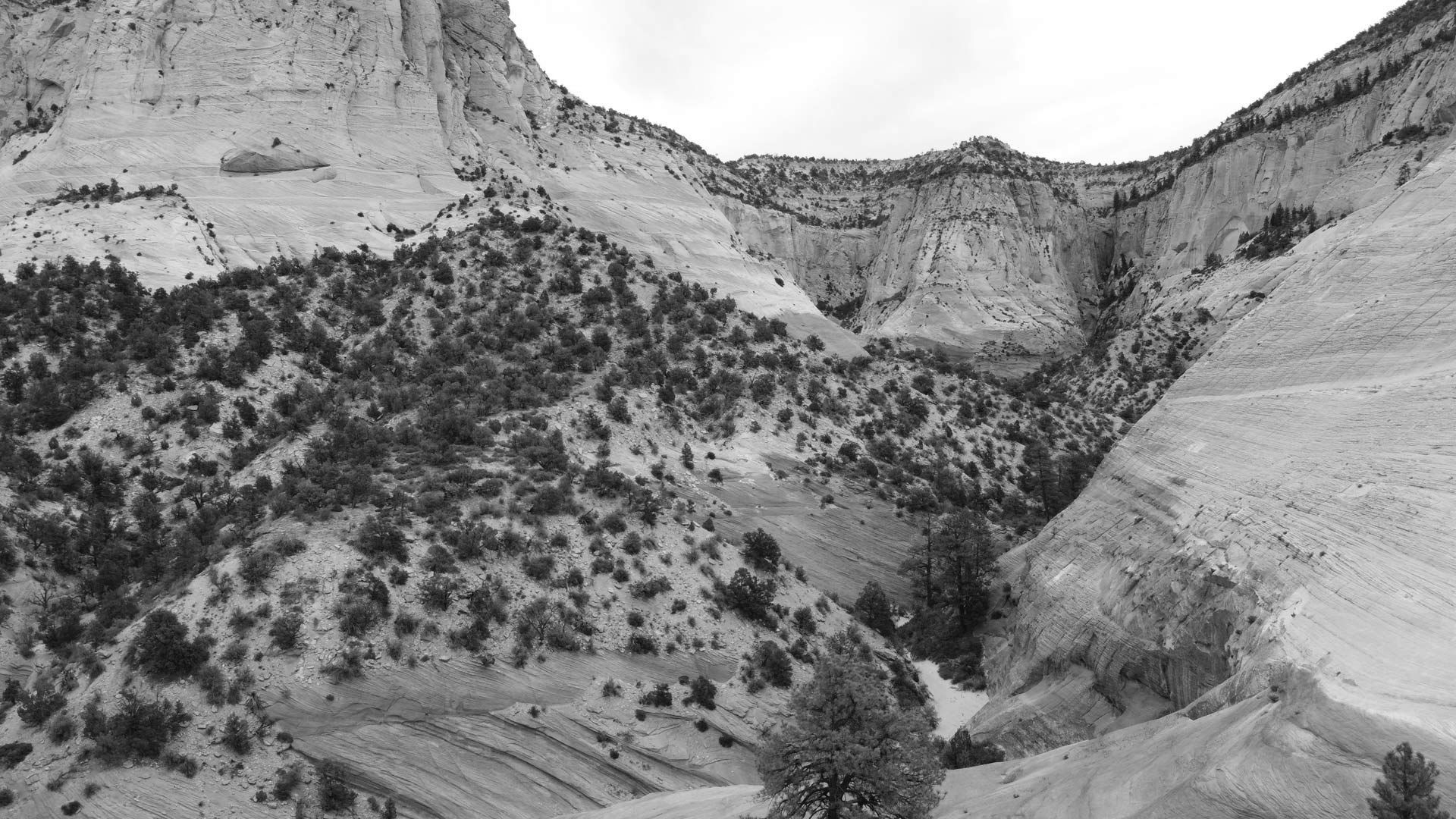 green trees on rocky mountain faces