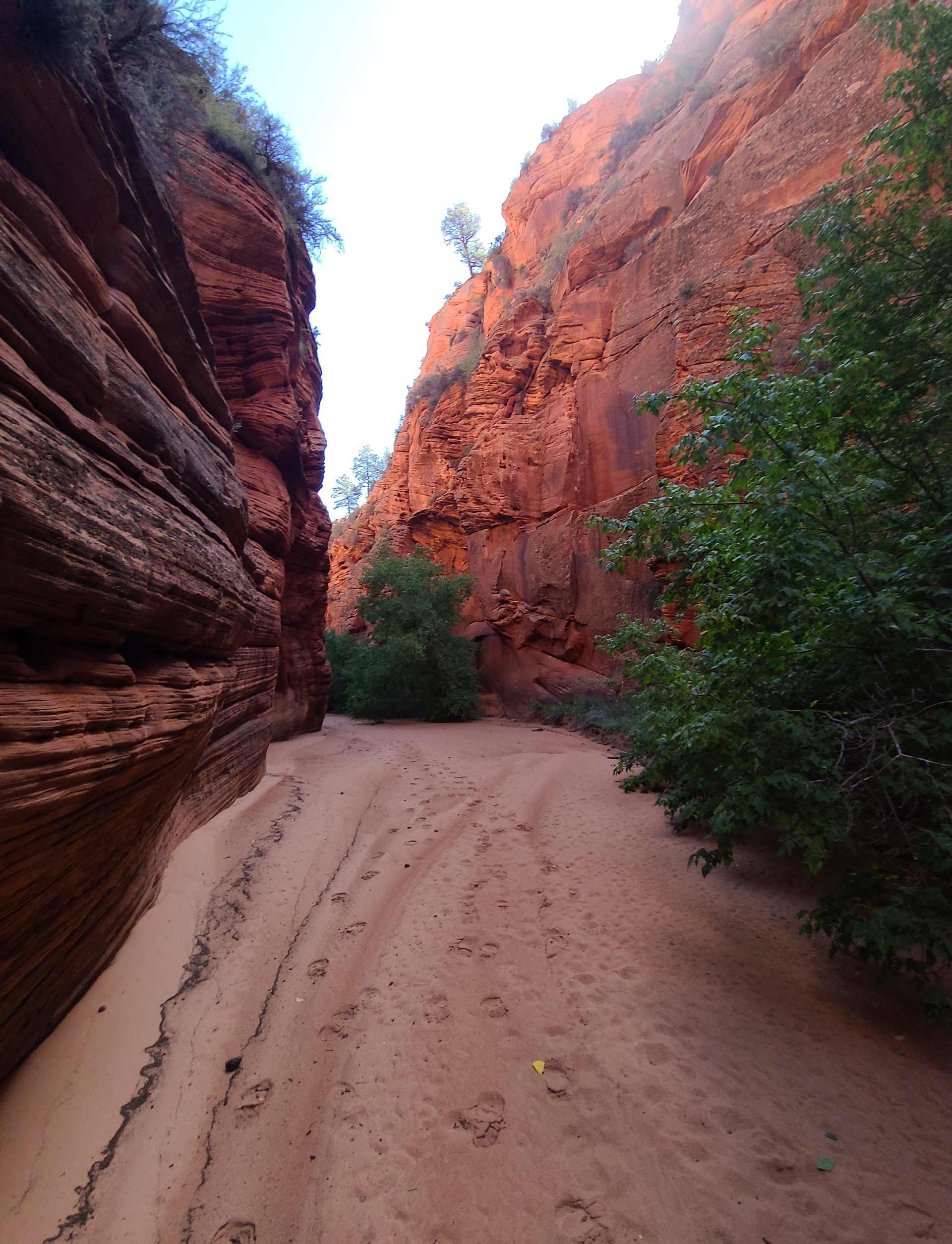 A dirt road in the middle of a canyon