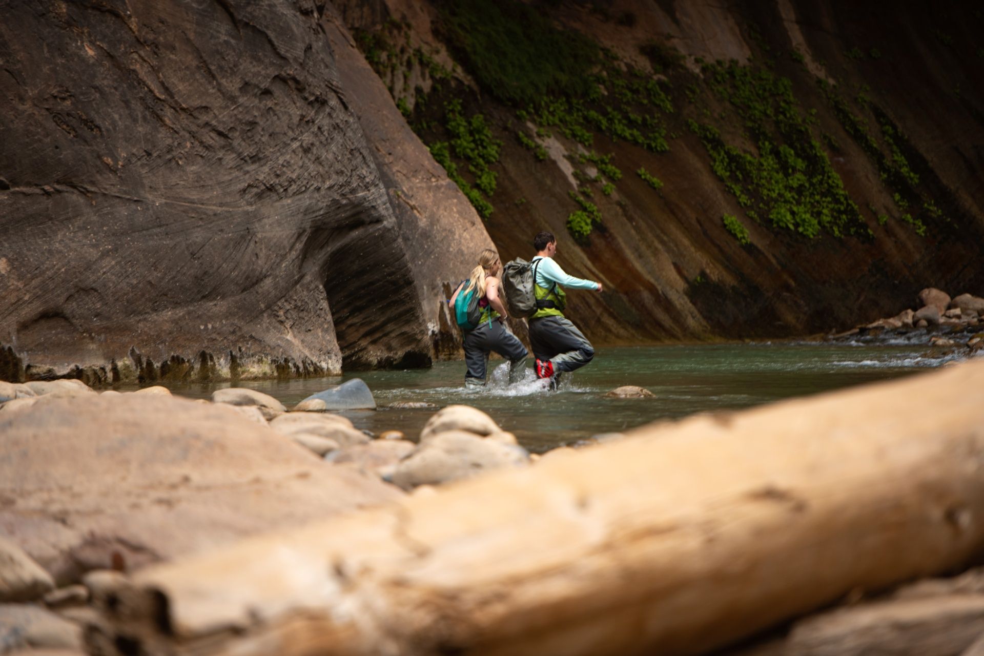 people walking through a stream in zion national park