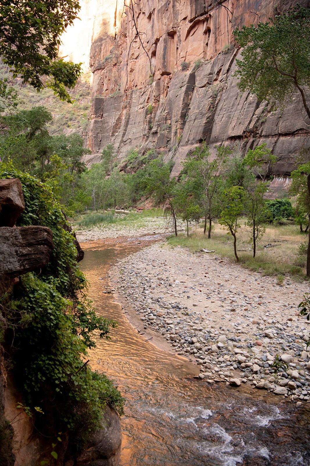 Narrow creek winding through a rocky canyon with trees and green vegetation along the banks