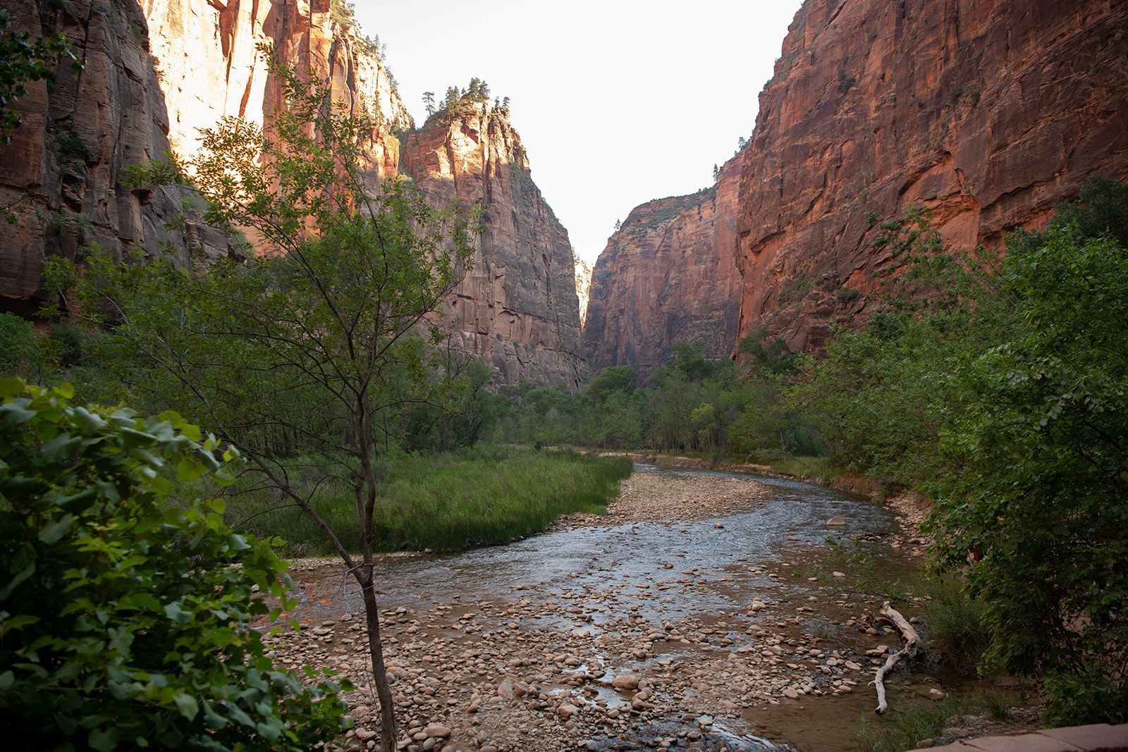 A small river flows through towering canyons of red rock