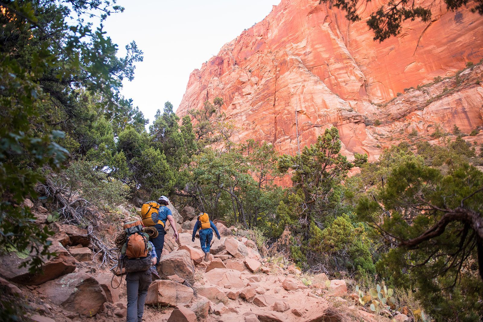 People hike along a canyon