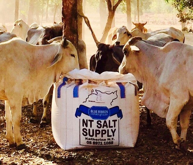 Salt Supply in Katherine Slingshot Haulage