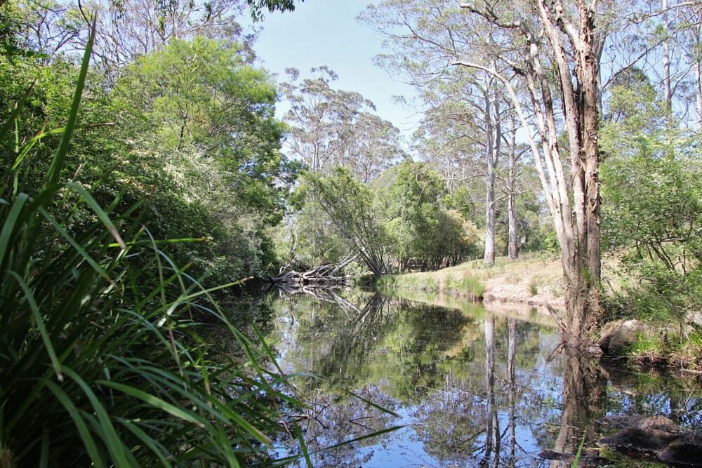 Upper Reaches Of Dora Creek Cooranbong Lake Macquarie — Lake Macquarie Designer Kitchens In Cooranbong, NSW
