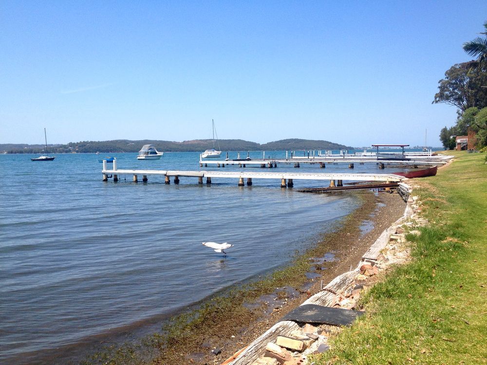 A Seagull Is Swimming In The Water Near A Dock — Lake Macquarie Designer Kitchens In Toronto, NSW