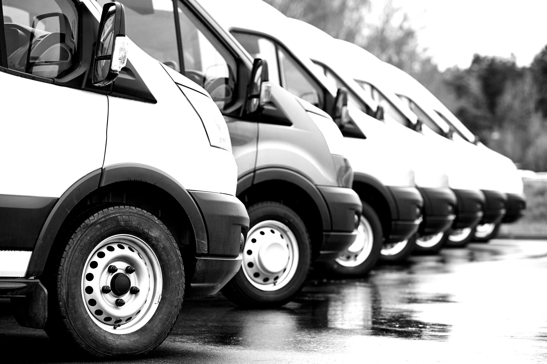 Fleet Services at Phoenix Collision Center in Sandia, TX