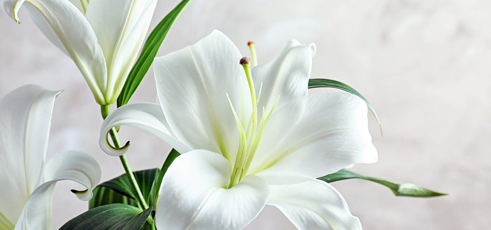 Funeral Homes in Absecon, NJ Parsels Funeral Home