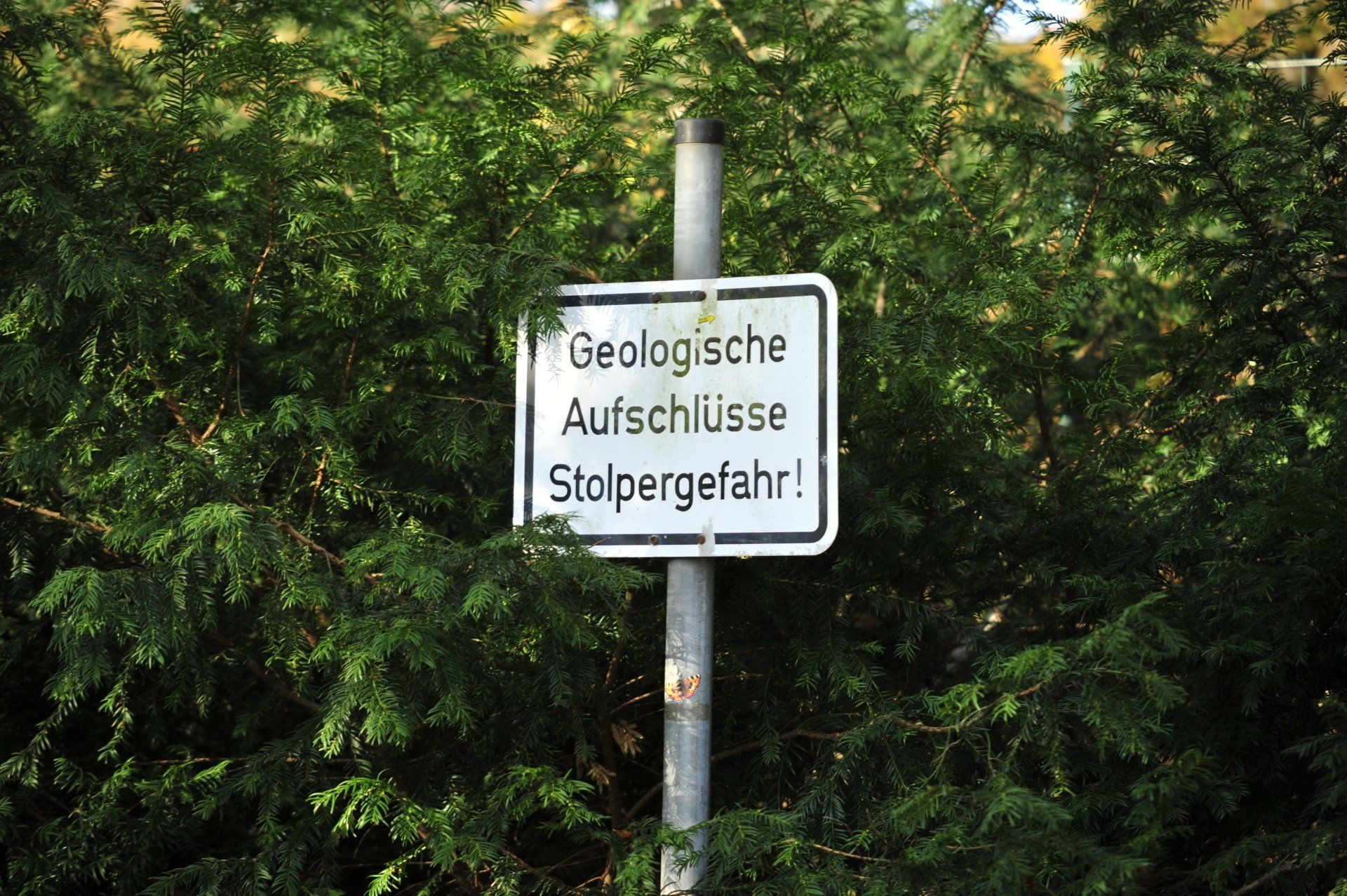 Geologische Aufschlüsse