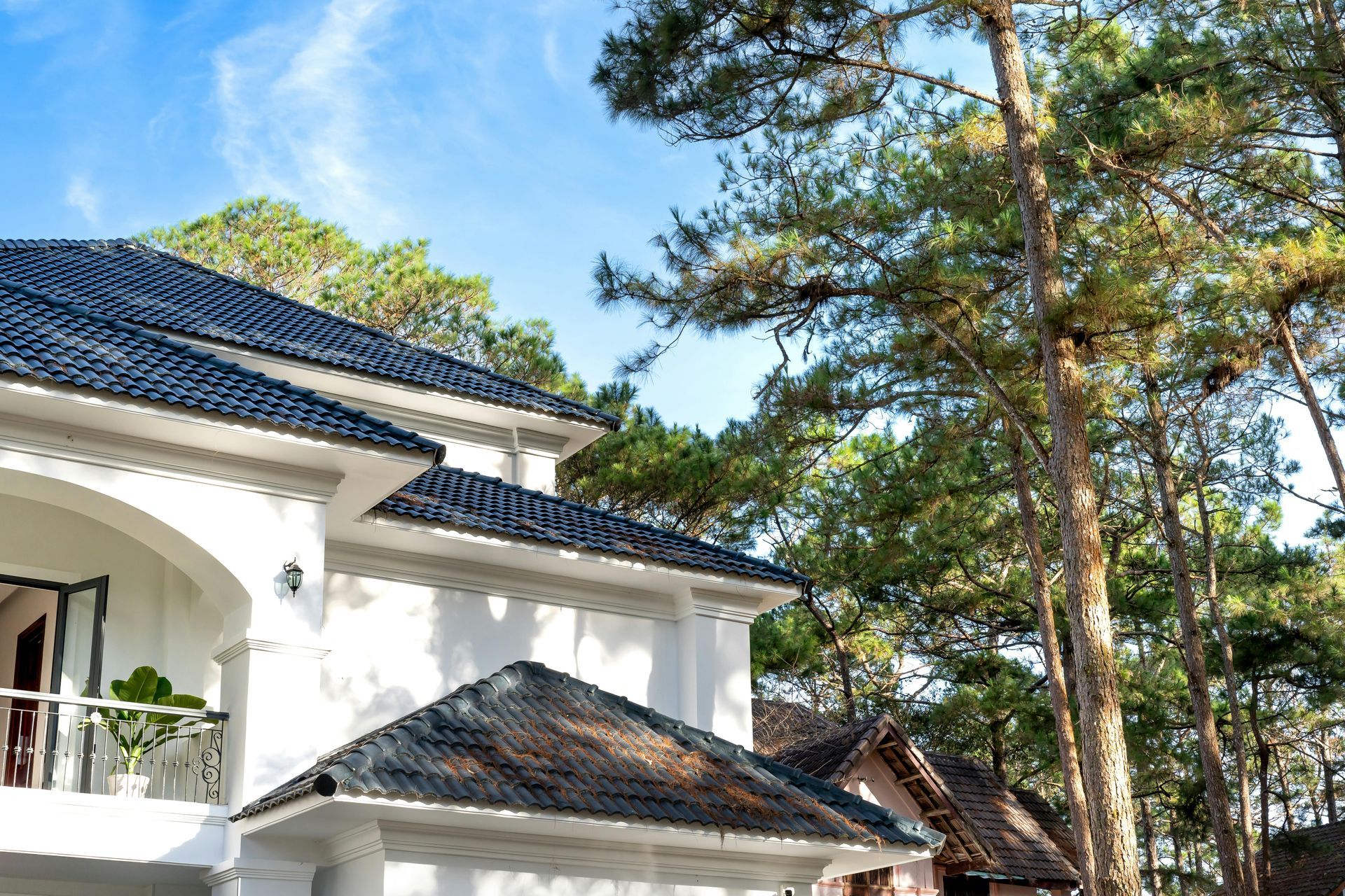 White house with dark roof and balcony among tall pine trees under a clear blue sky