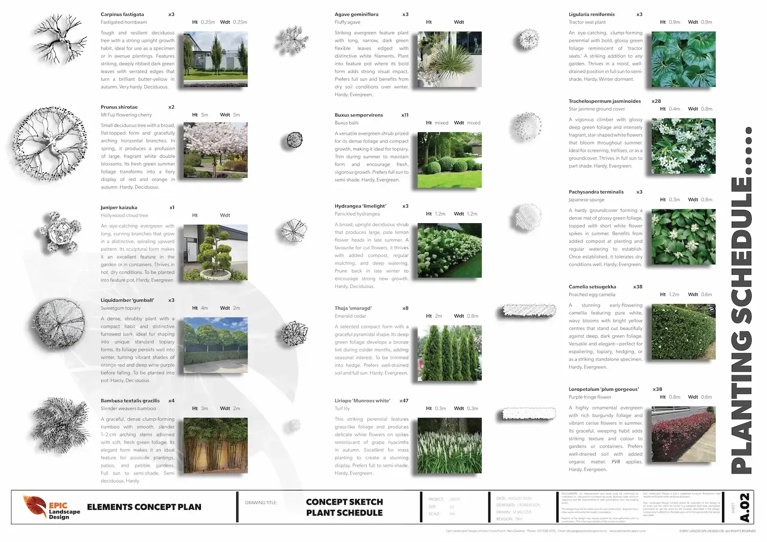 Planting schedule with plant illustrations and photos. Lists various plants with planting details for landscape design.
