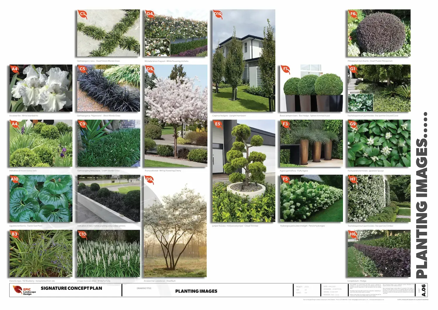 A catalog page with various plant images, including flowers, shrubs, and trees for landscaping.