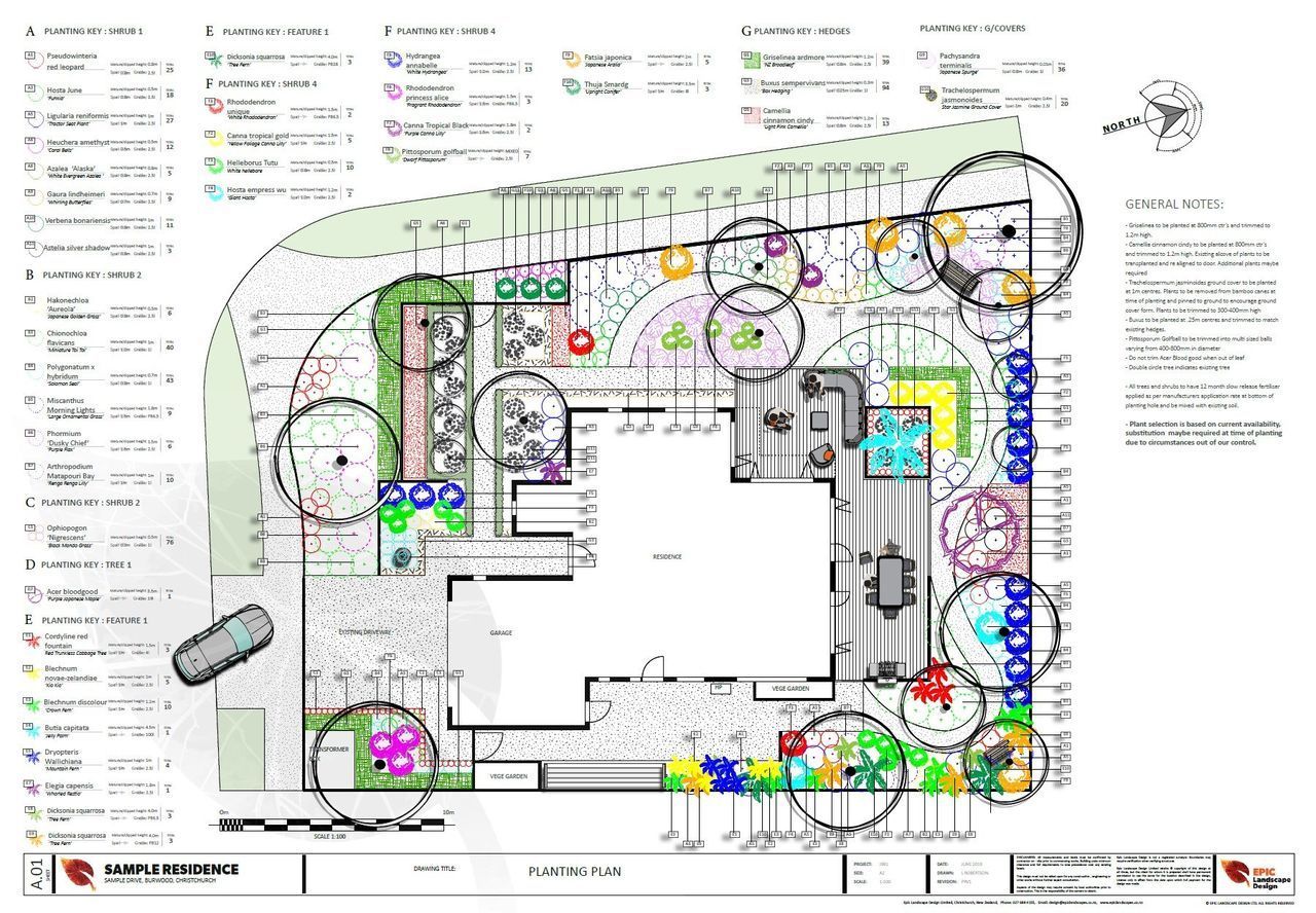 A drawing of a garden with a car parked in front of it.