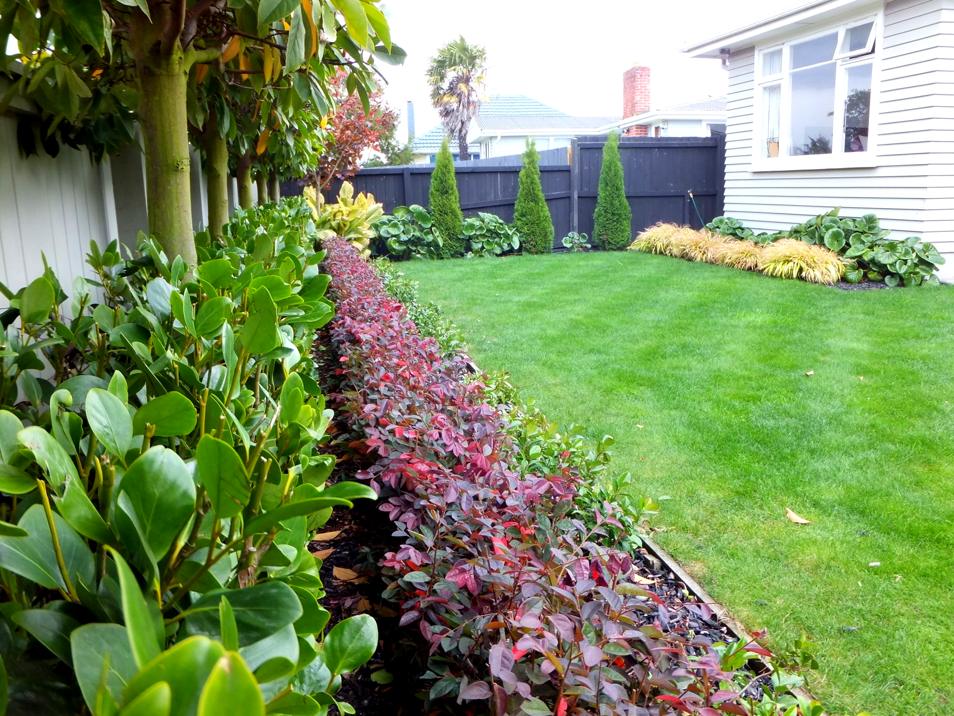 A lush green lawn with a row of plants in front of a house.