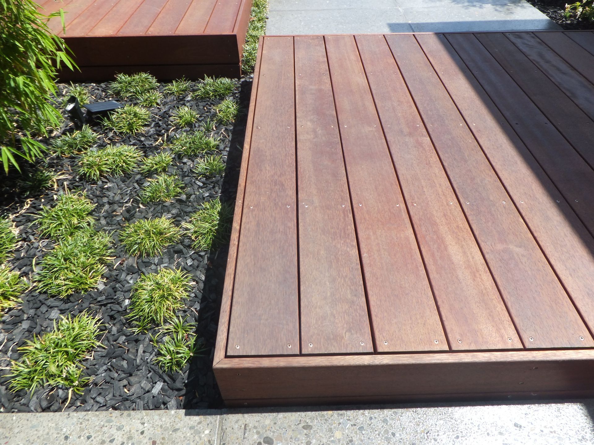 A wooden deck with a few plants in the background