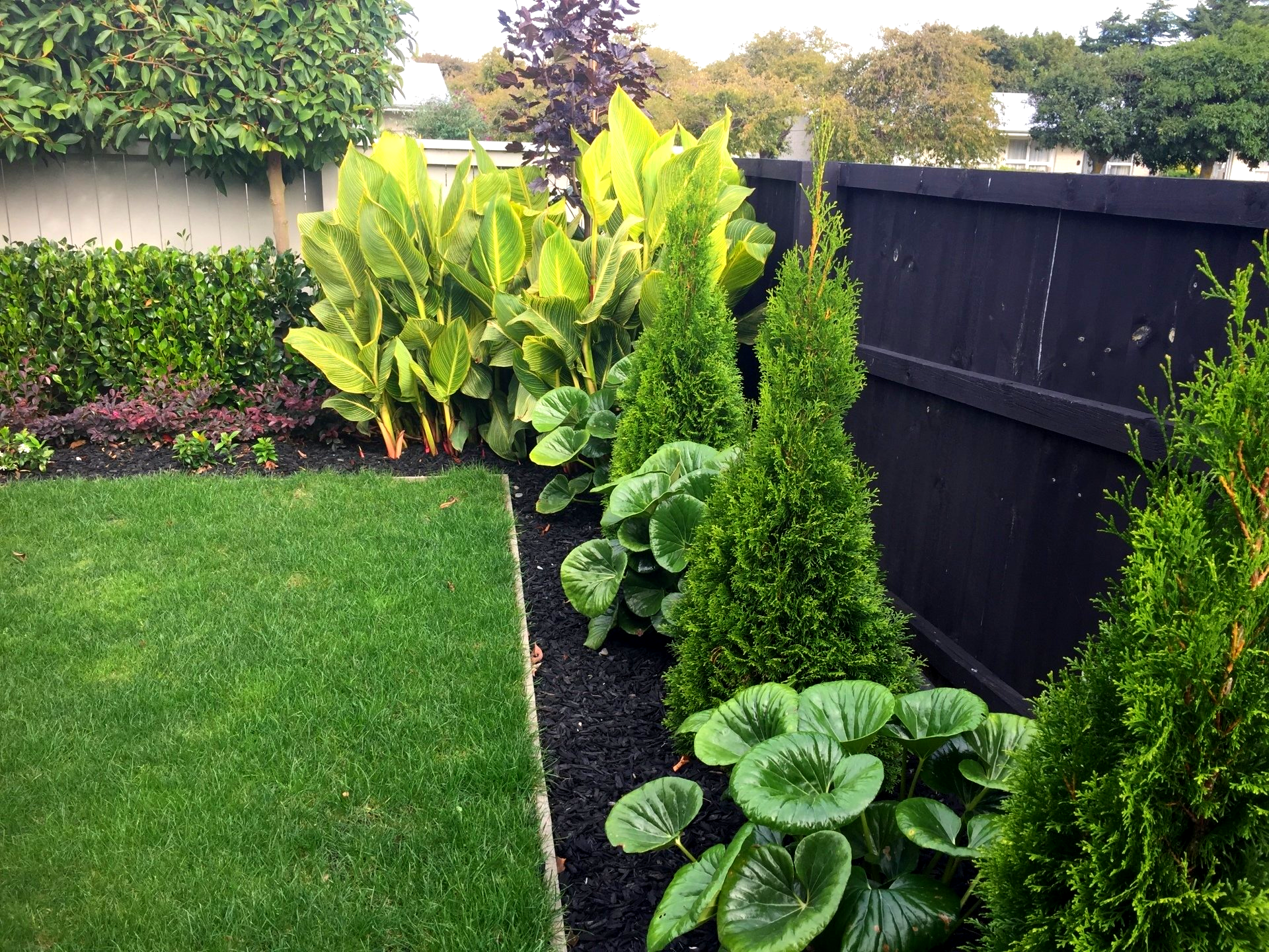 A garden with a black fence and lots of green plants