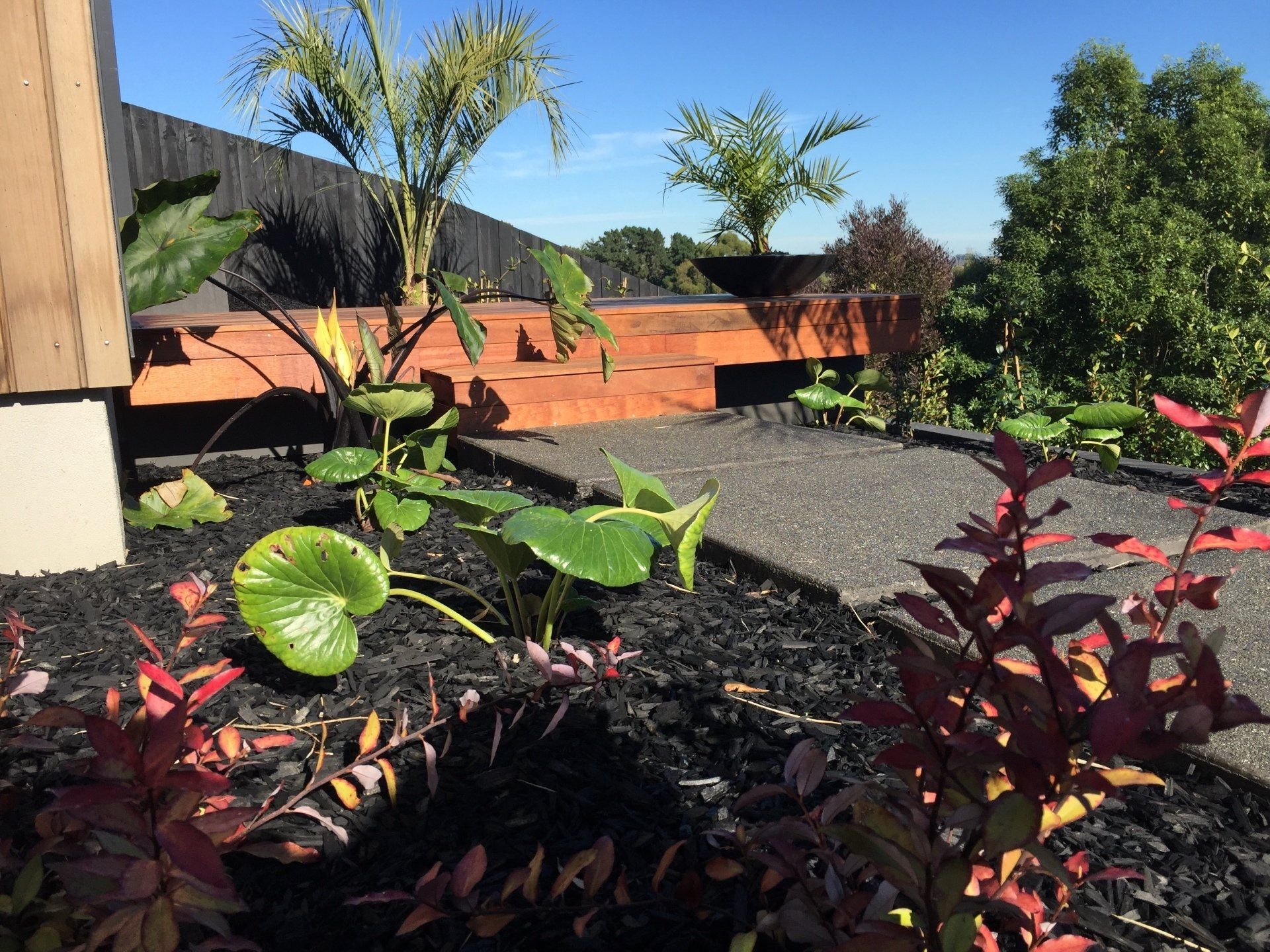 A garden with lots of plants and a brick wall