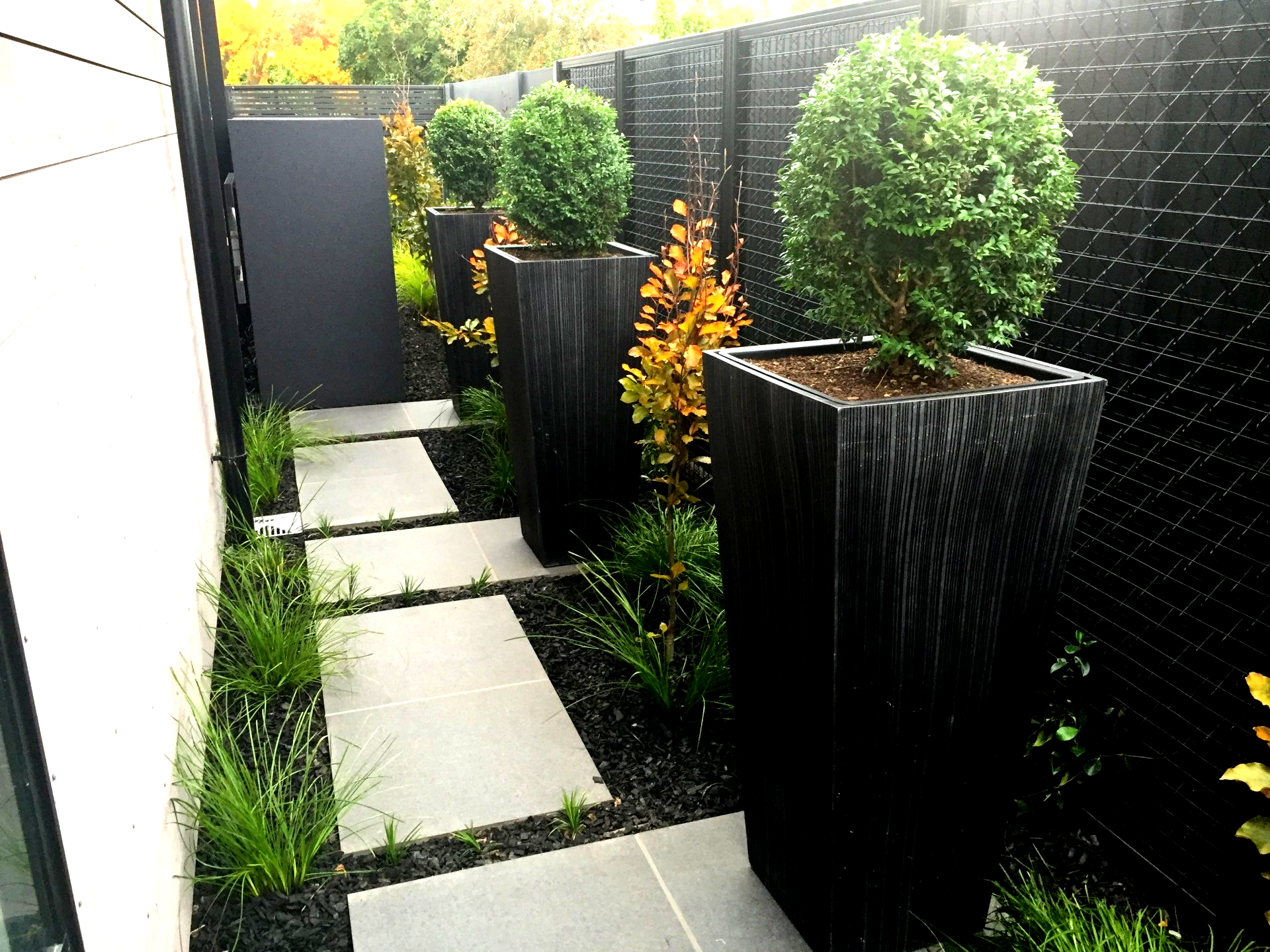 A row of black potted plants are lined up in a garden.