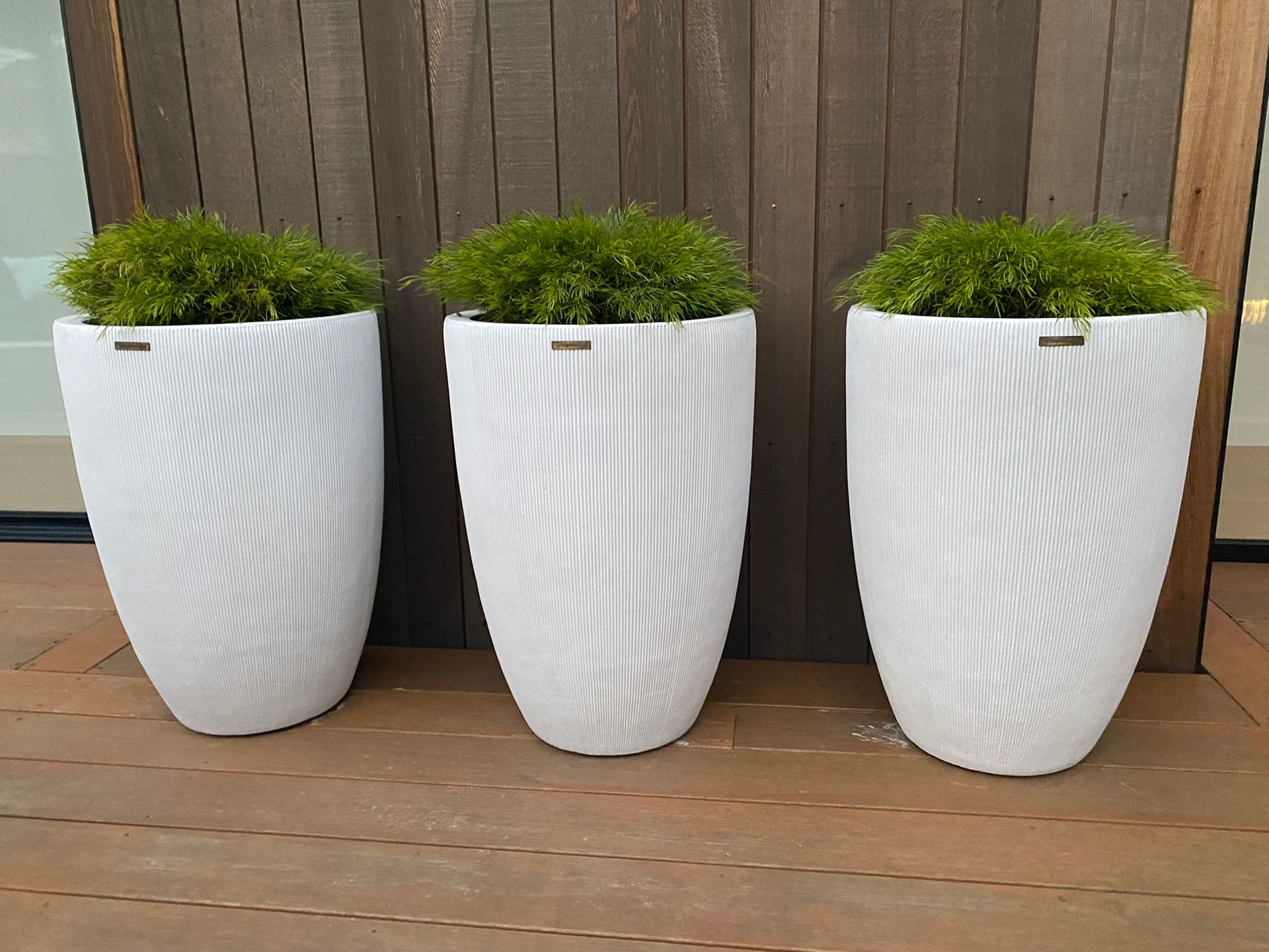 Three white planters with green plants in them