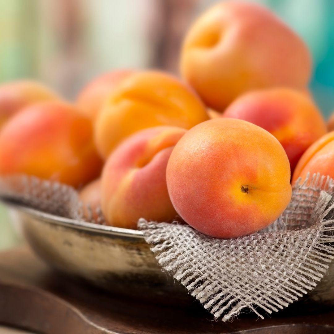 Abricots Goldrich