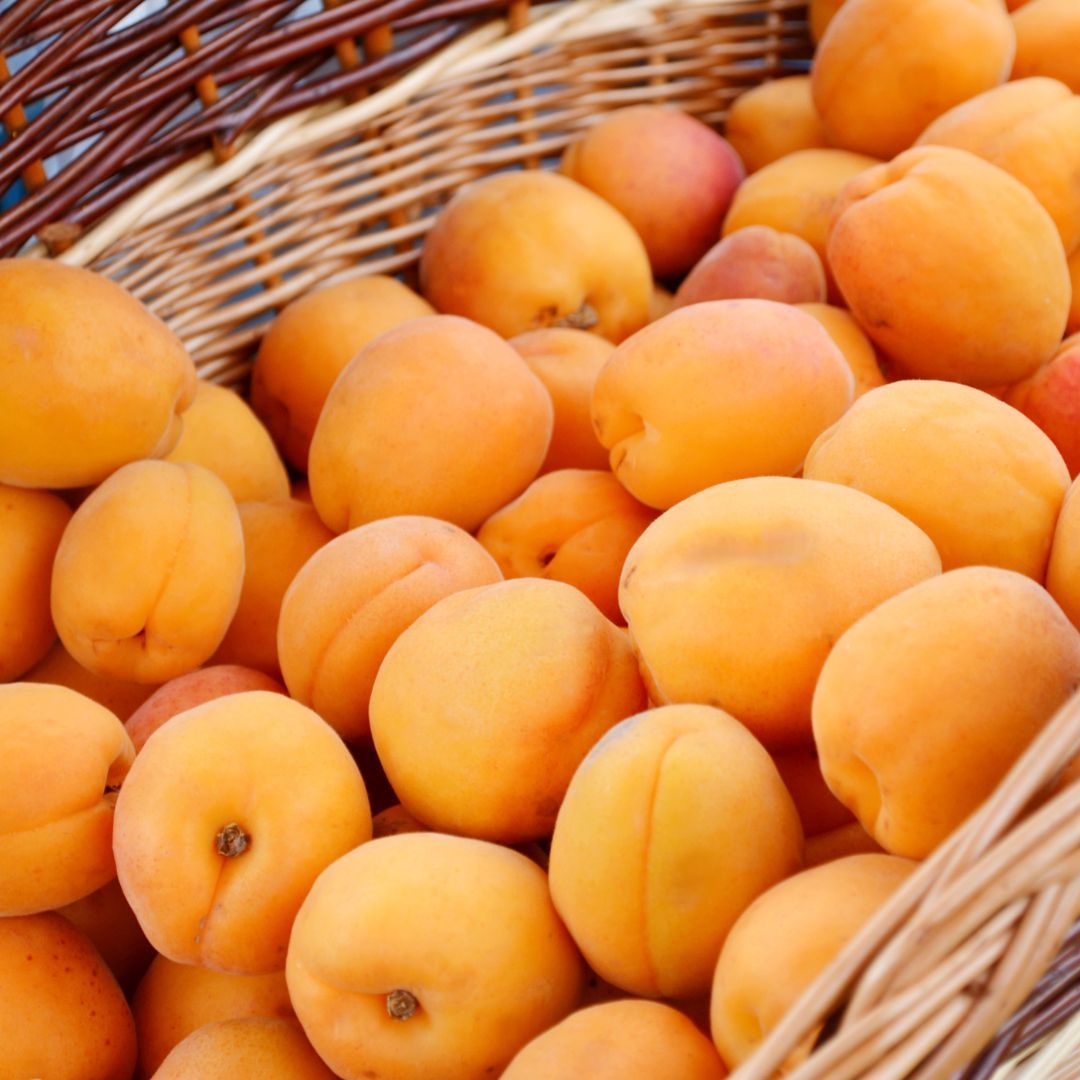 Abricots Luizet