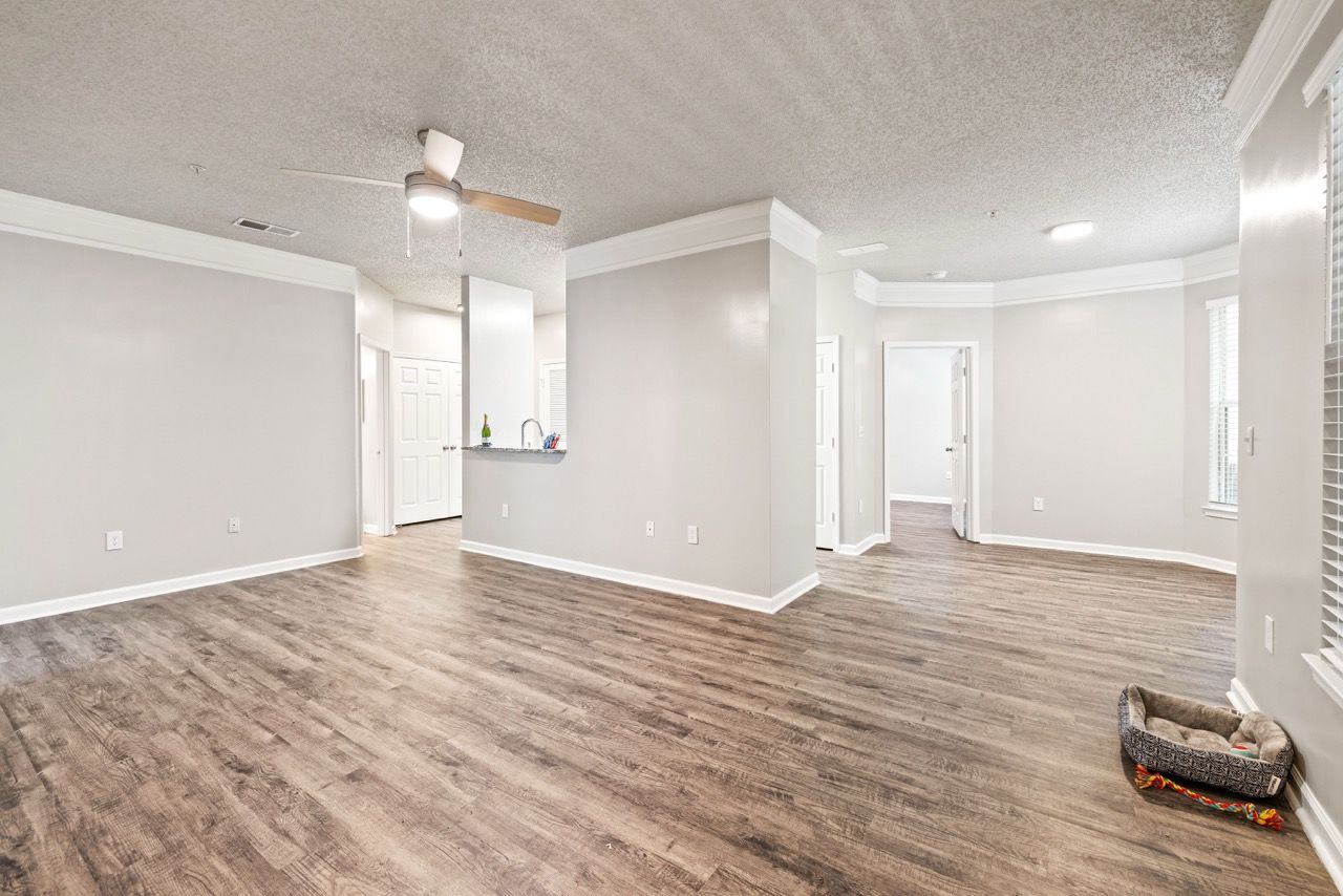Open-concept living area in an apartment with wood-look flooring, a kitchen bar, and light gray walls.