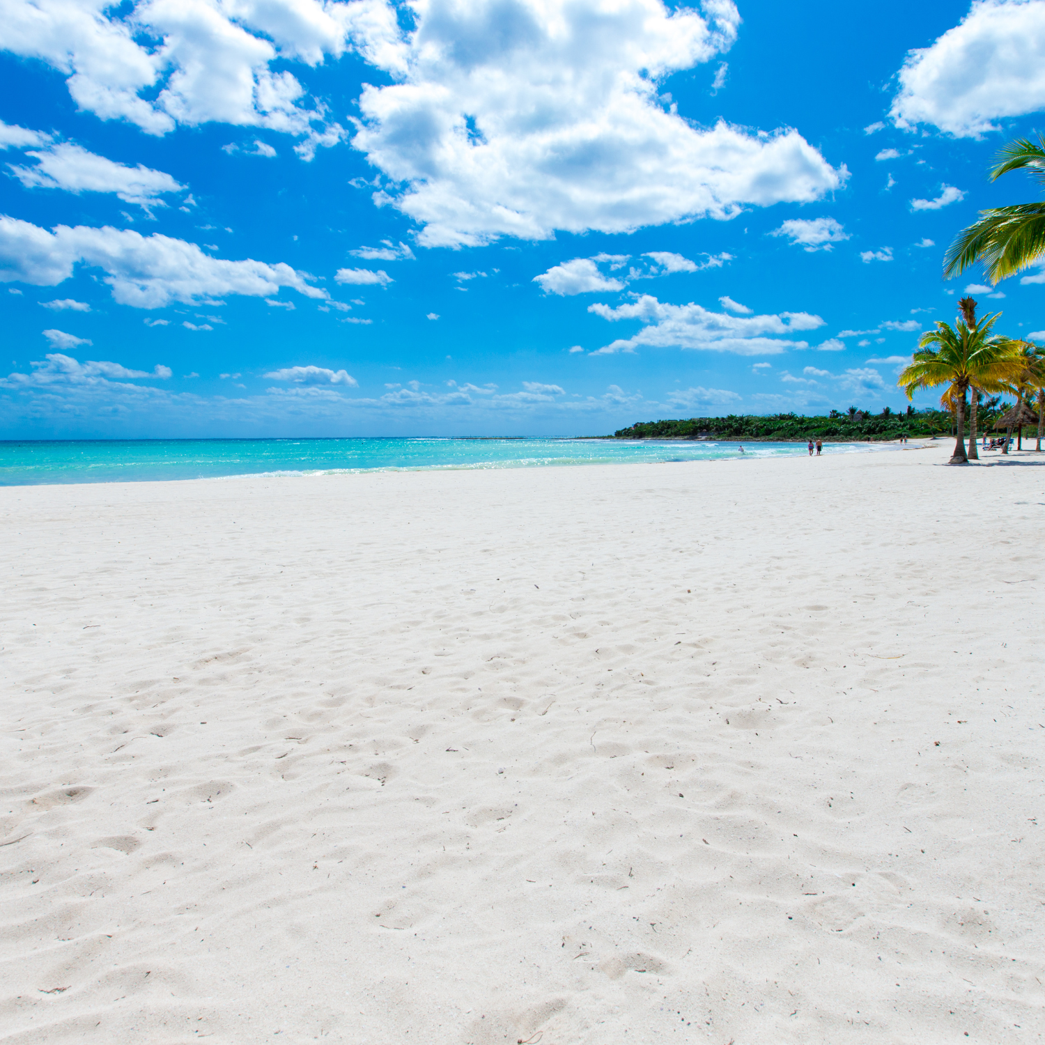 Reflexology Comfortable Workspace