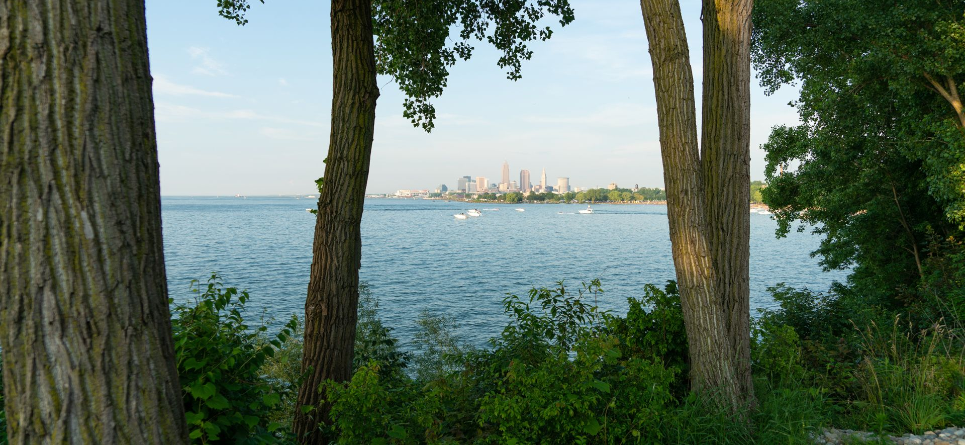 View of a city skyline across a lake framed by trees and green bushes.