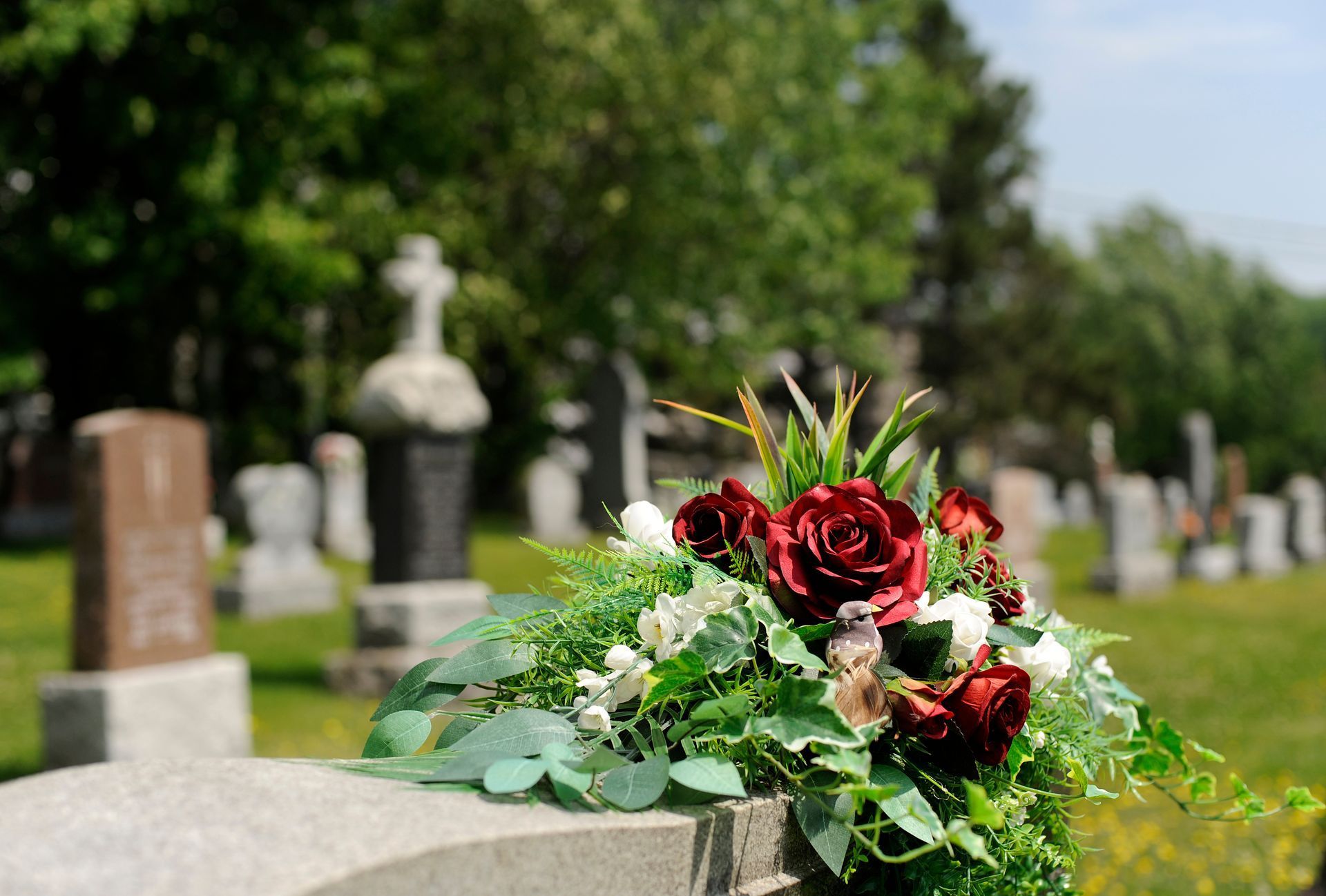 Red roses and greenery on a grave in a sunny cemetery, with blurred headstones in the background.