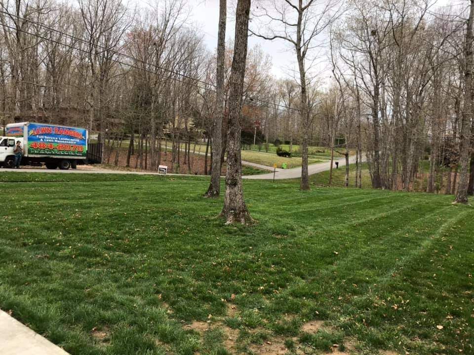 A truck is parked in the middle of a lush green lawn.