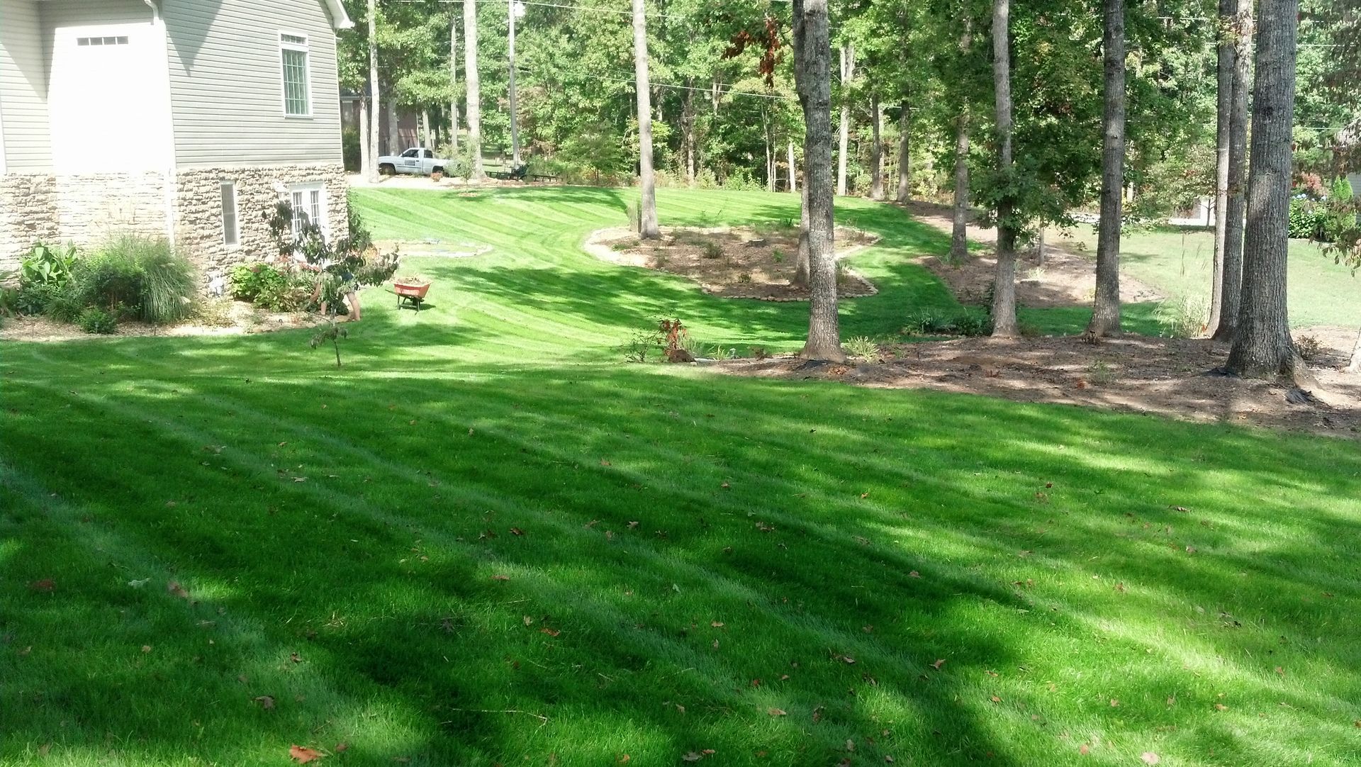 A lush green lawn with trees in the background and a house in the background.