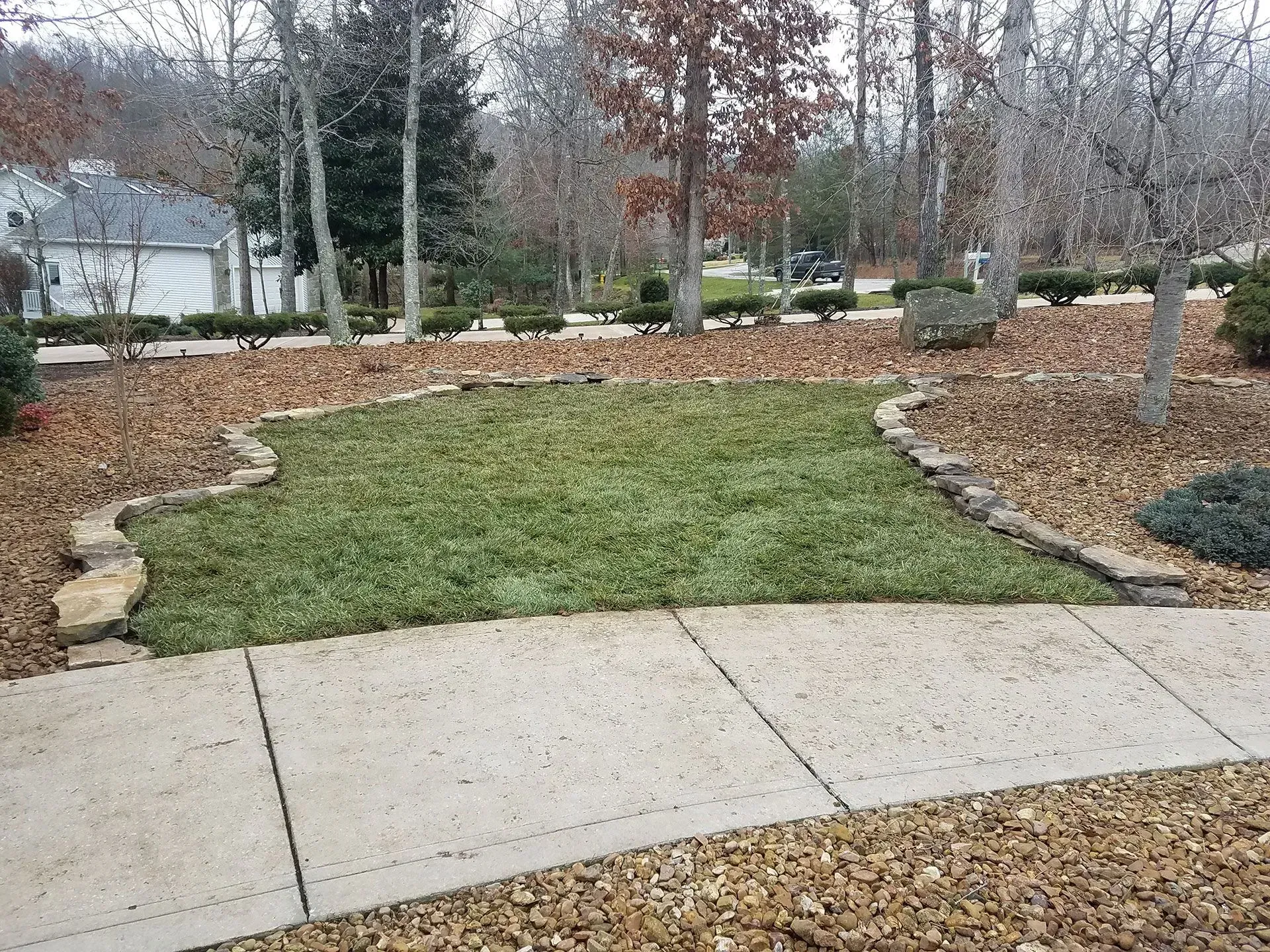 A sidewalk leading to a lush green lawn with trees in the background.