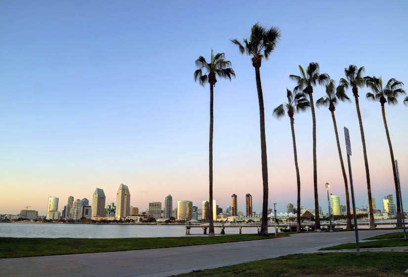 a city skyline with palm trees in the foreground