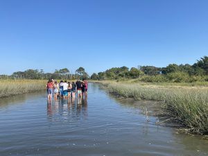 A group of people are walking through a river.