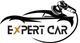 Company logo representing professional car detailing and paint protection services