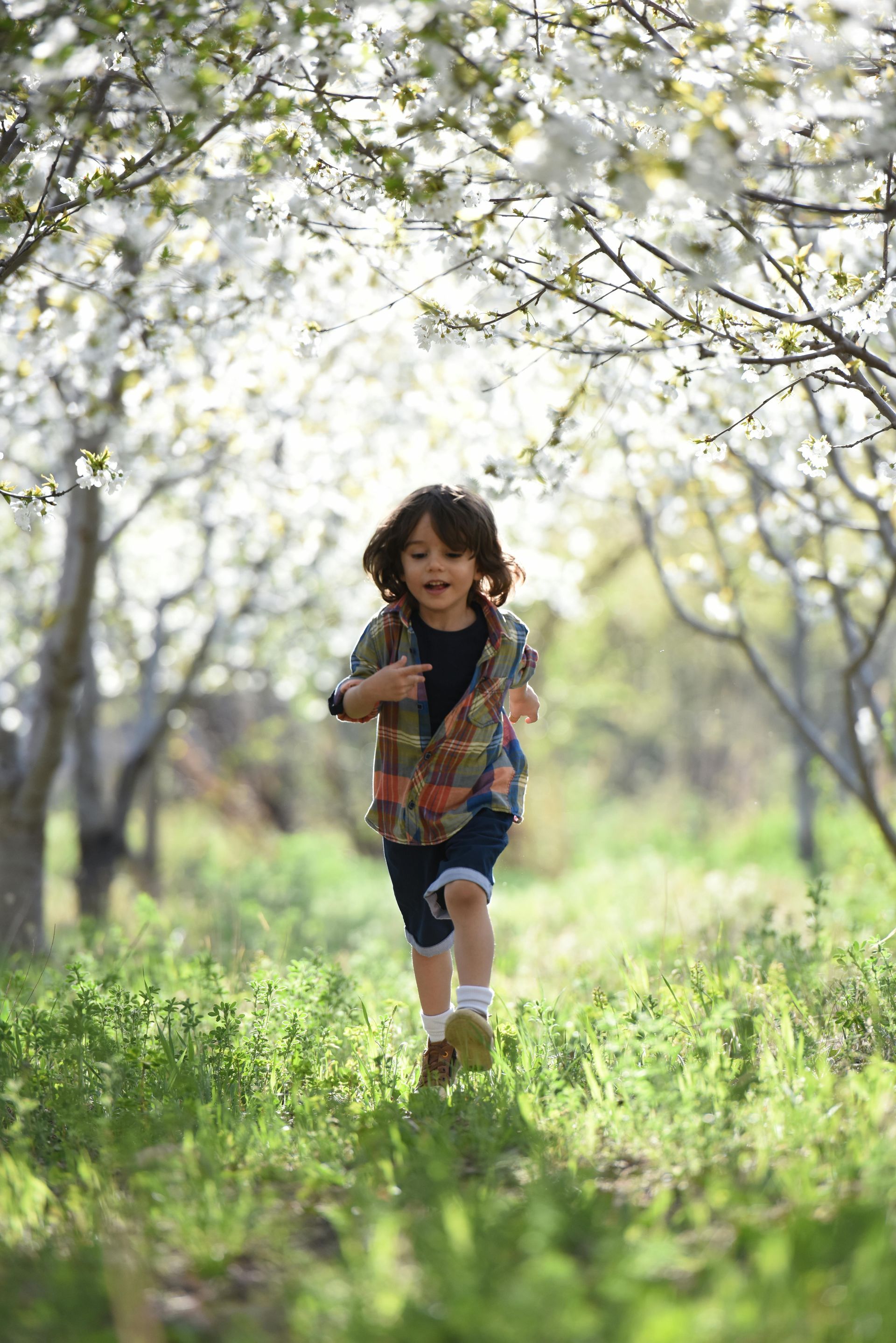 Child running joyfully under blossoming trees.