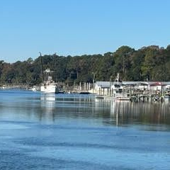 Boats docked in calm blue water near a treelined shore on a sunny day.
