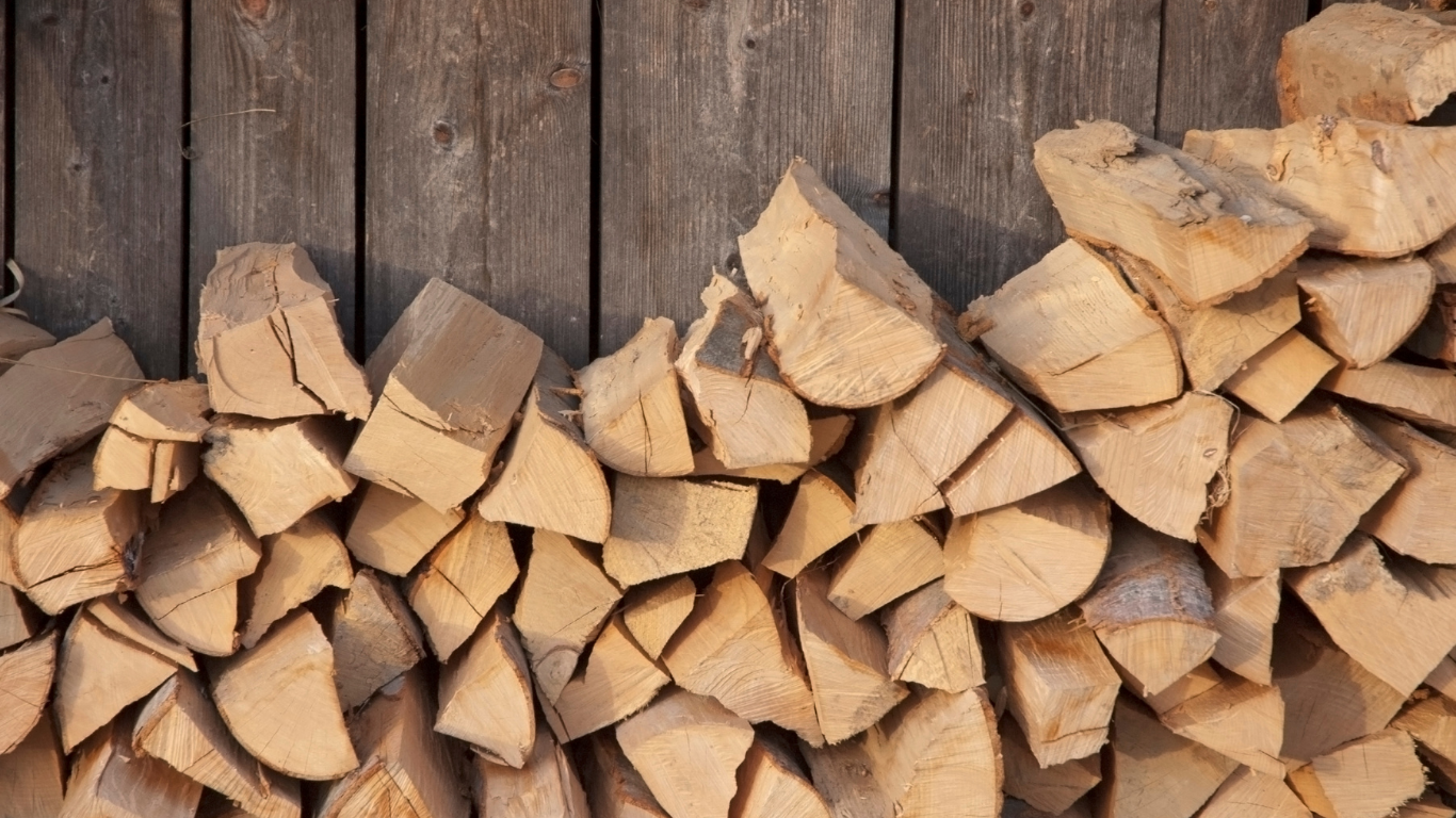 Pile of split firewood against a weathered wooden wall.