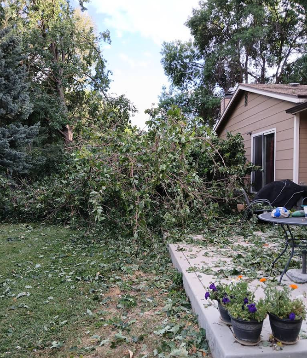 Backyard with debris from a fallen tree near a house and patio. Green grass, plants, and a cloudy sky.