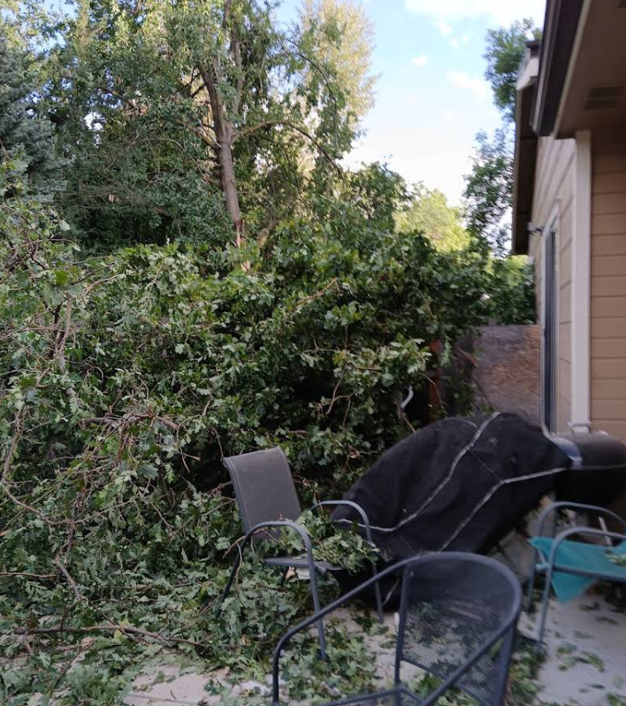 Fallen tree branches cover outdoor patio furniture next to a beige house wall.