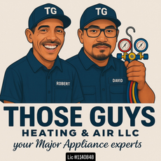 THOSE GUYS HEATING & AIR LLC