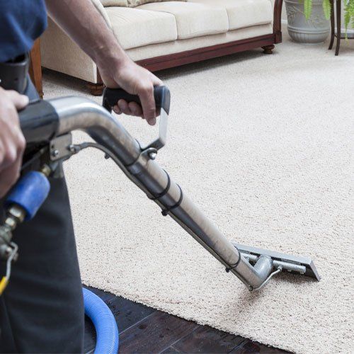Steam Cleaning Carpets — Adelaide, SA — Adelaide Carpet Care