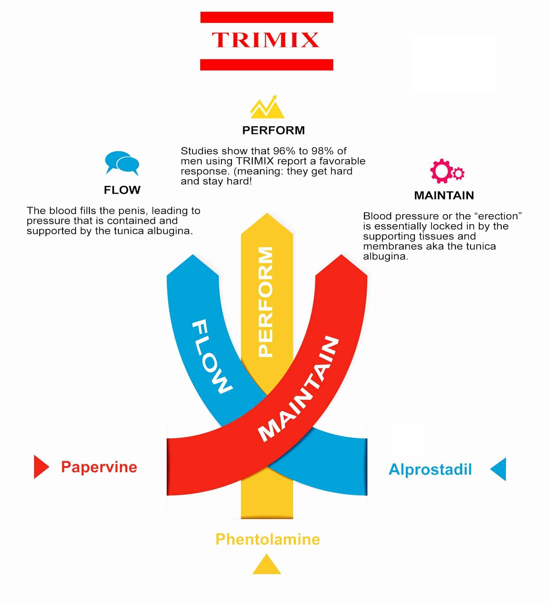 Diagram illustrating Trimix drug components for erectile dysfunction: Flow, Perform, Maintain.