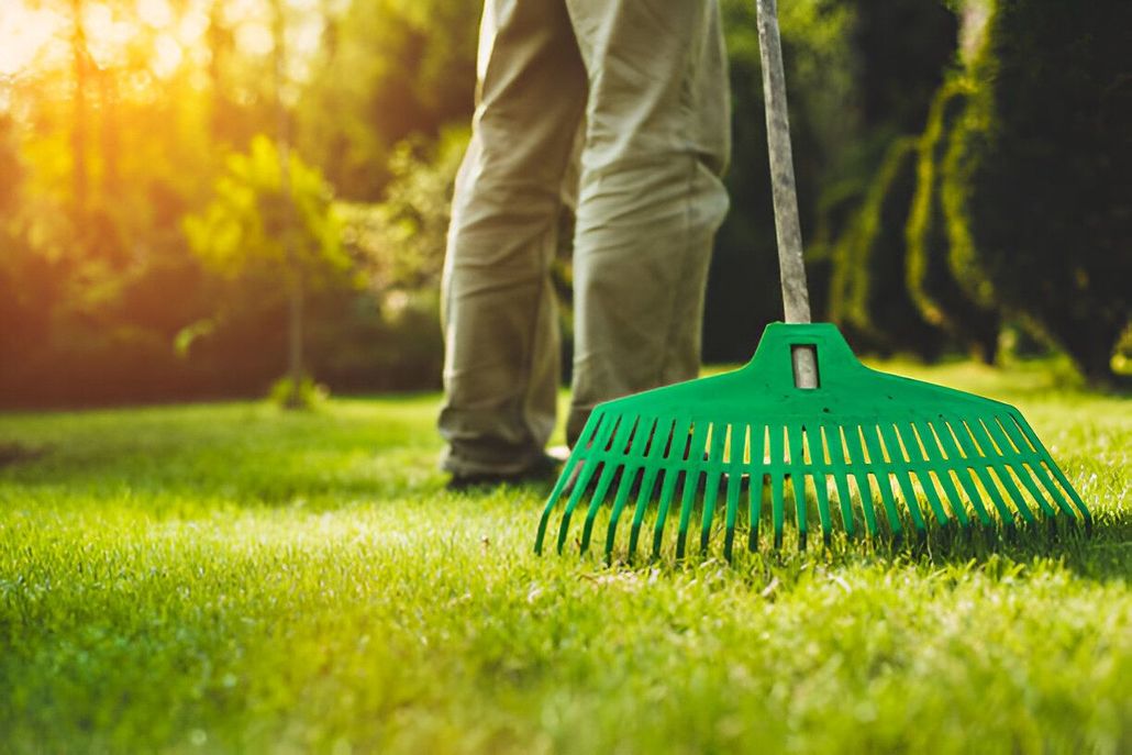 A person is raking the grass with a green rake.