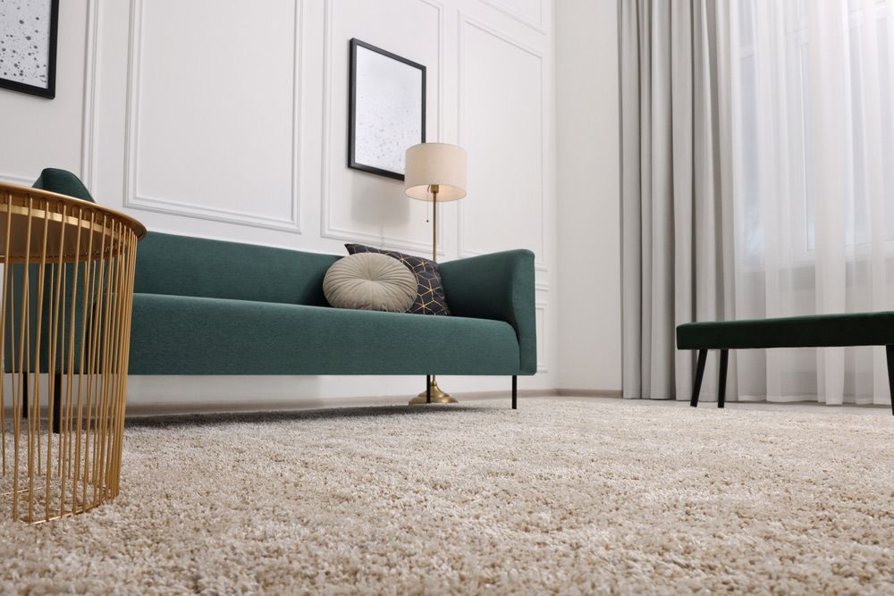 A Living Room With A Green Couch , A Table , A Lamp And A Rug — New Carpets in Queanbeyan, NSW