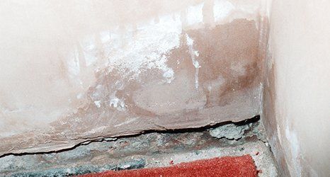 Quality damp proofing services