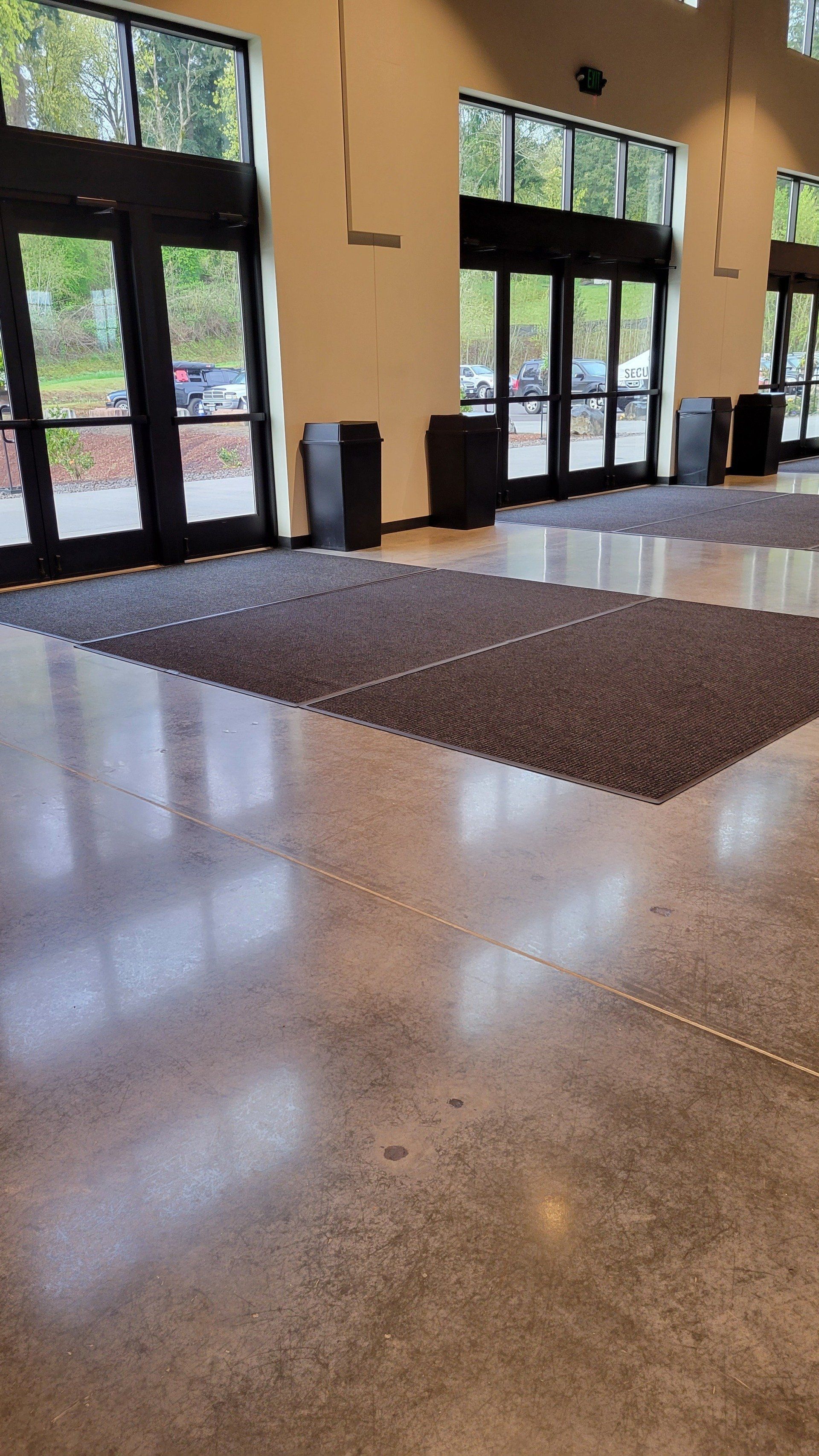 A large room with a lot of windows and a rug on the floor.